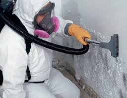 Best Black Mold Removal in Keene, TX